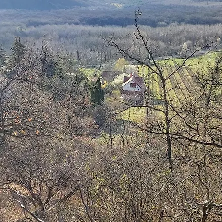 Prázdninový dům Szolocskei Vendeghaz Es Piheno Eger